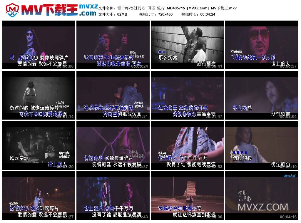 雪十郎-伤过的心_国语_流行_MD405715